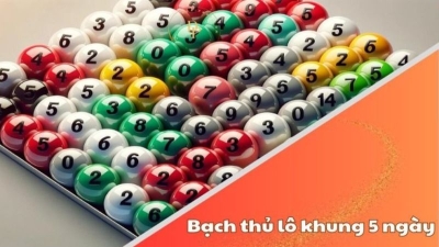 Bạch thủ lô nuôi khung 5 ngày - Chiến thuật bất bại và chuẩn xác